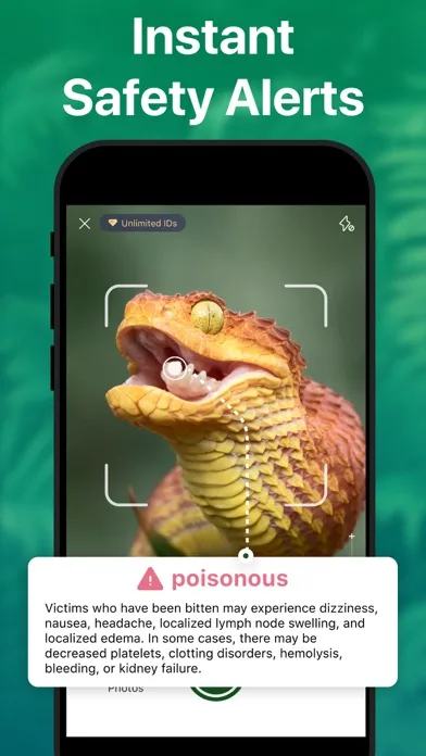 Picture Nature: Animal ID screenshot 4