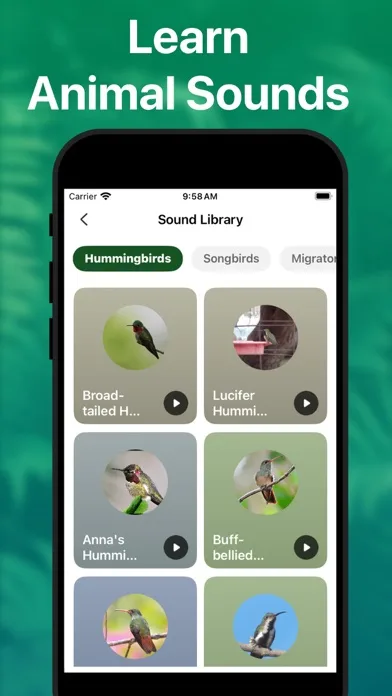 Picture Nature: Animal ID screenshot 5