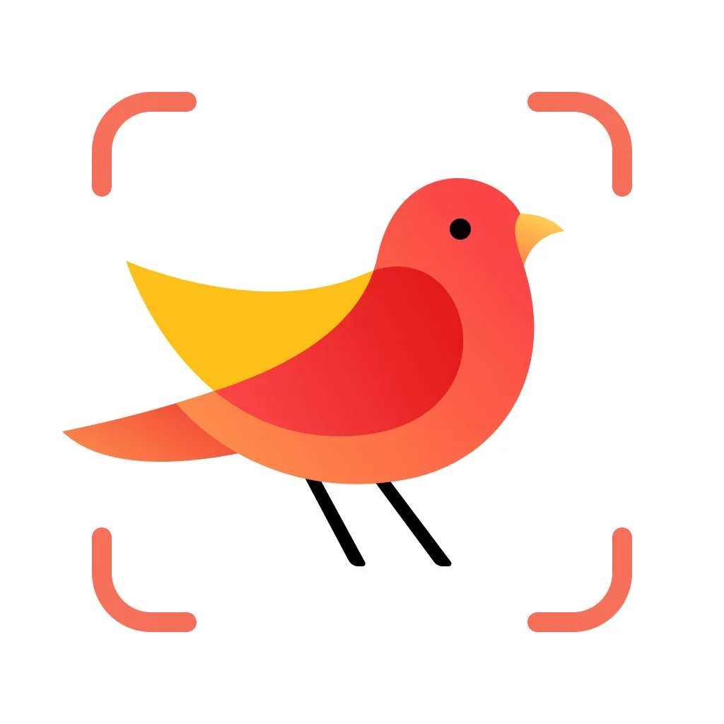 Picture Bird: Bird identifier