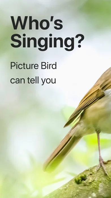 Picture Bird: Bird identifier screenshot 1