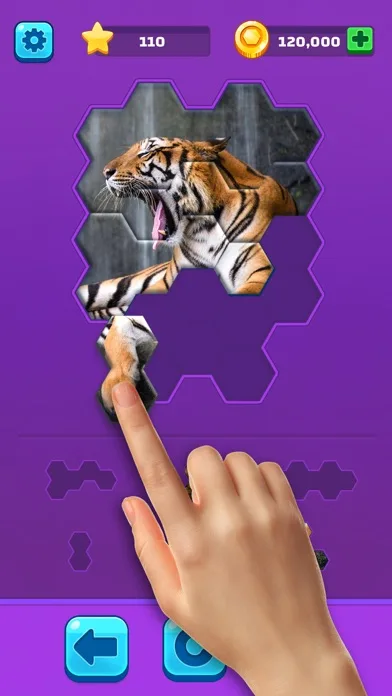 Hexa Jigsaw Puzzle ® screenshot 2