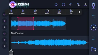 Audio Editor: Recording Studio screenshot 1