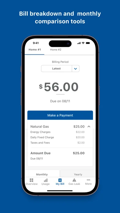 Peoples Gas Chicago screenshot 4