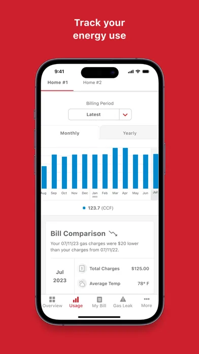 Michigan Gas Utilities (MGU) screenshot 3