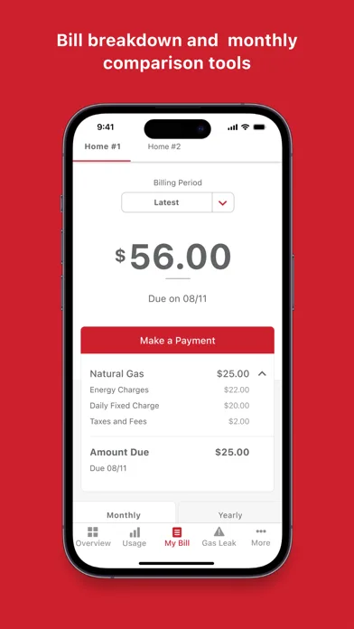 Michigan Gas Utilities (MGU) screenshot 4