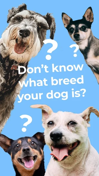 Dog Breed Identifier by Dogo screenshot 1