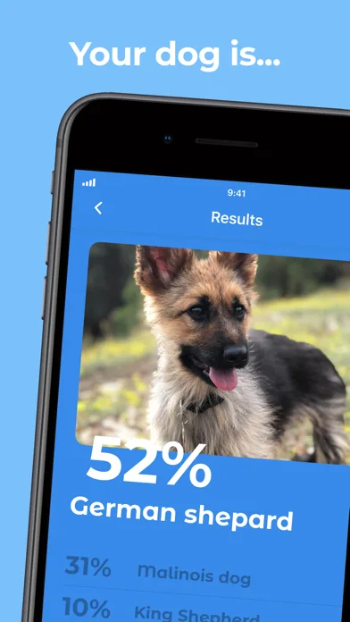 Dog Breed Identifier by Dogo screenshot 3