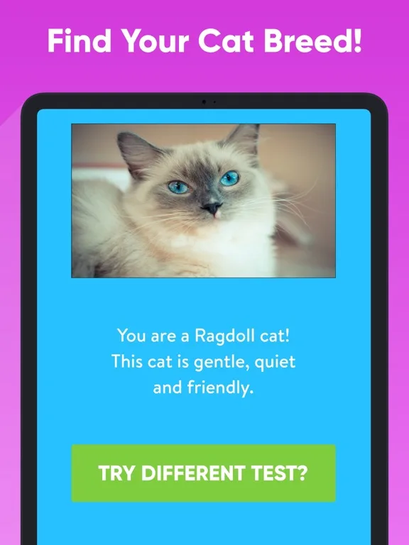 What Type Of Cat Are You? screenshot 5