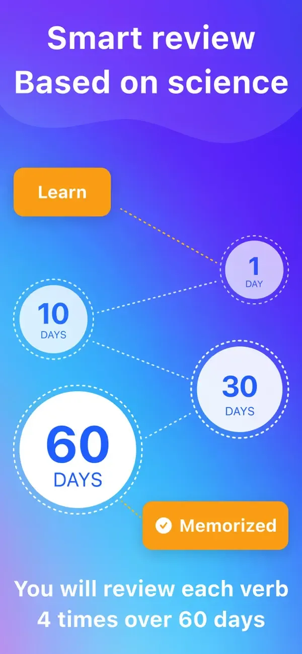 Learning Spanish Verbs, French screenshot 4