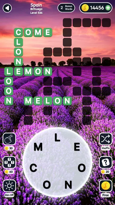 Word Swipe Connect World Quiz screenshot 5