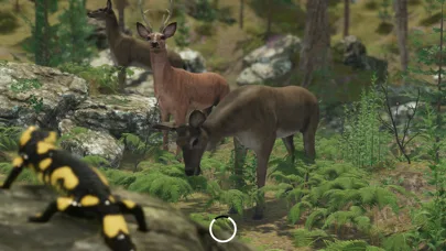 VR Zoo Animals Roller Coaster screenshot 3