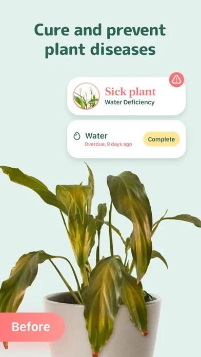 Blossom - Plant Care Guide screenshot 1