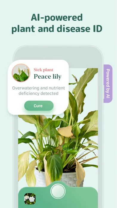 Blossom - Plant Care Guide screenshot 5