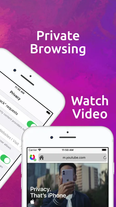 UPX Private Browser screenshot 3