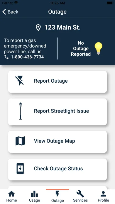 PSE&G screenshot 4