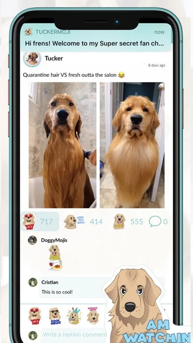 TuckerMoji - Tucker Budzyn Dog screenshot 5