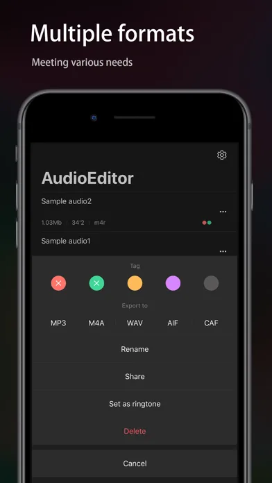Audio Editor - Music editor screenshot 5