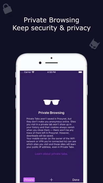 Phoenix Browser + Proxy VPN screenshot 3
