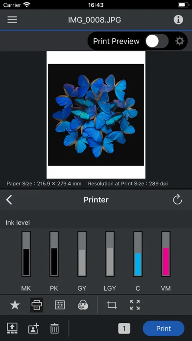 Epson Print Layout screenshot 2