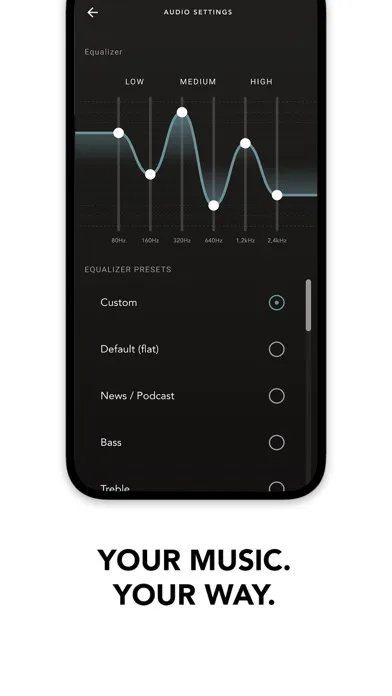 Devialet Gemini screenshot 4