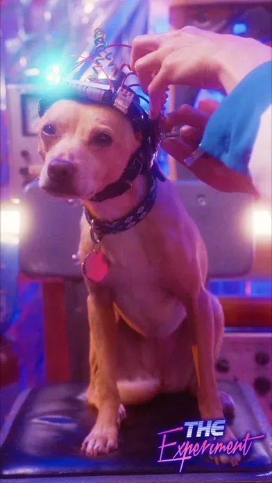 Snax · Interactive movies screenshot 2