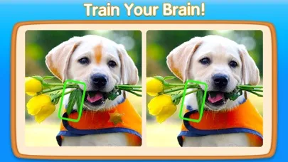 Can You Spot It－5 Differences screenshot 3