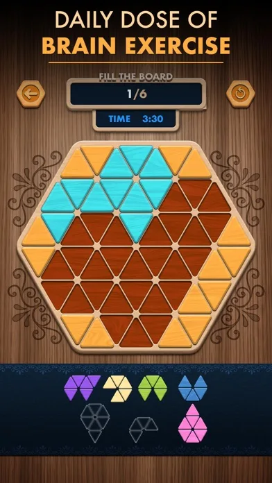 Woody Poly Block Hexa Triangle screenshot 1