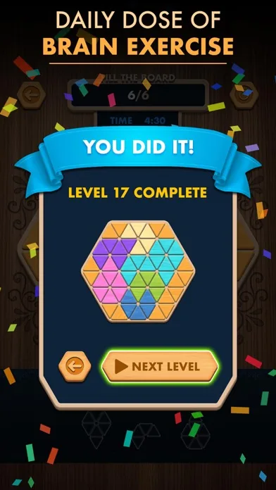 Woody Poly Block Hexa Triangle screenshot 3
