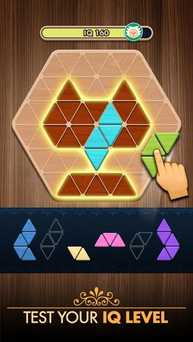 Woody Poly Block Hexa Triangle screenshot 4