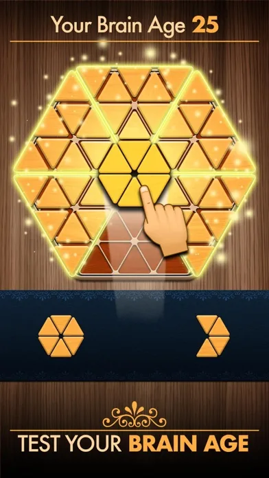 Woody Poly Block Hexa Triangle screenshot 5