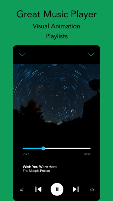 Offline Music ® screenshot 3