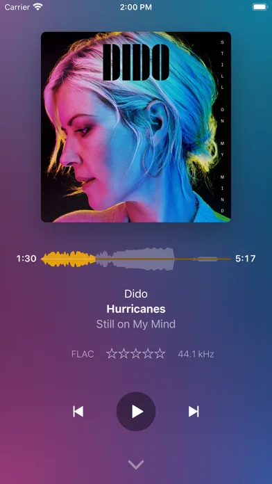 Plexamp screenshot 1