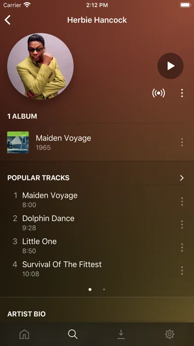 Plexamp screenshot 2