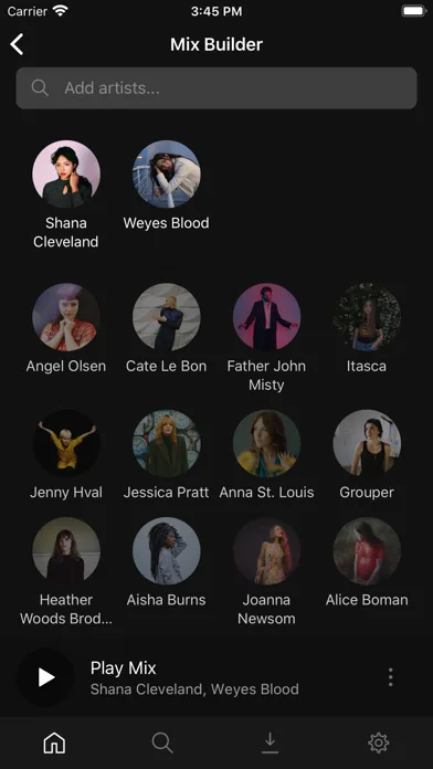 Plexamp screenshot 4