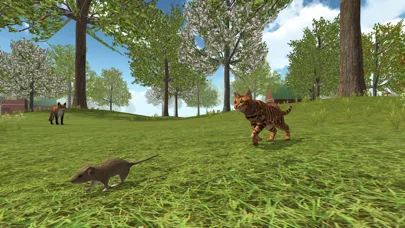 Cat Simulator 2020 screenshot 5