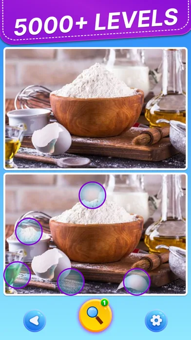 Spot 5 Differences: Find them! screenshot 3