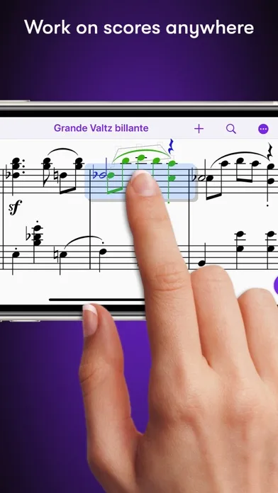Sibelius screenshot 1
