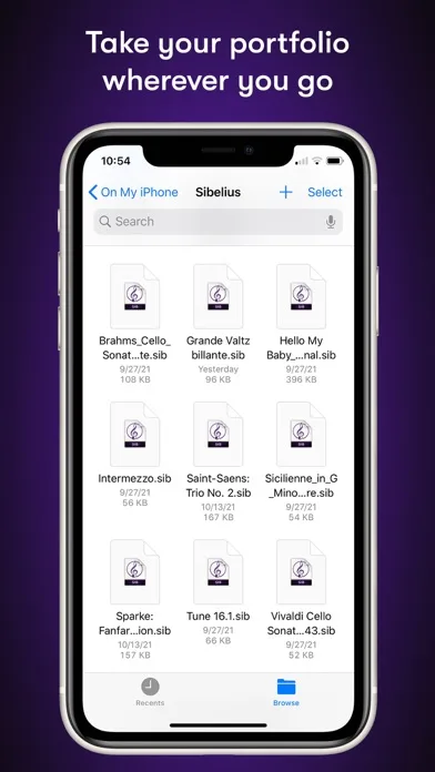 Sibelius screenshot 3