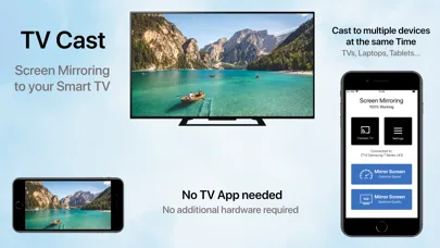 Screen Mirroring ⋆ Miracast TV screenshot 1
