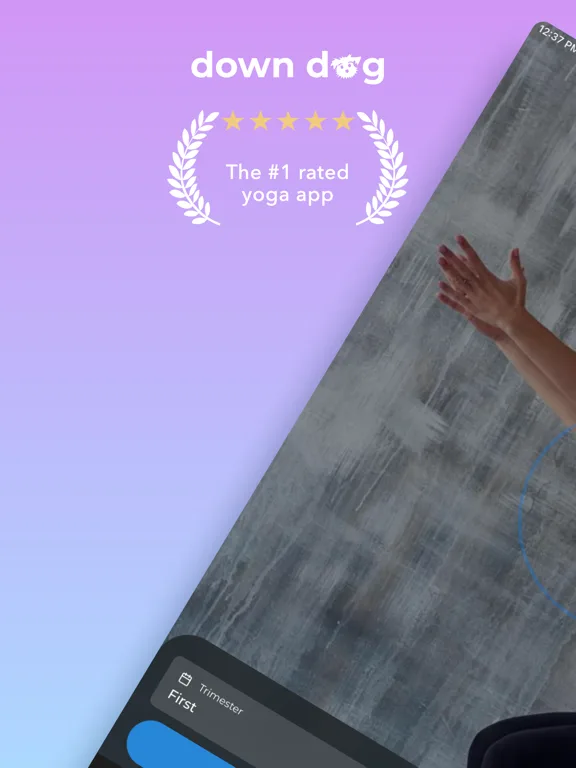 Prenatal Yoga | Down Dog screenshot 5