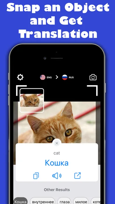 Translate -  Camera Translator screenshot 1