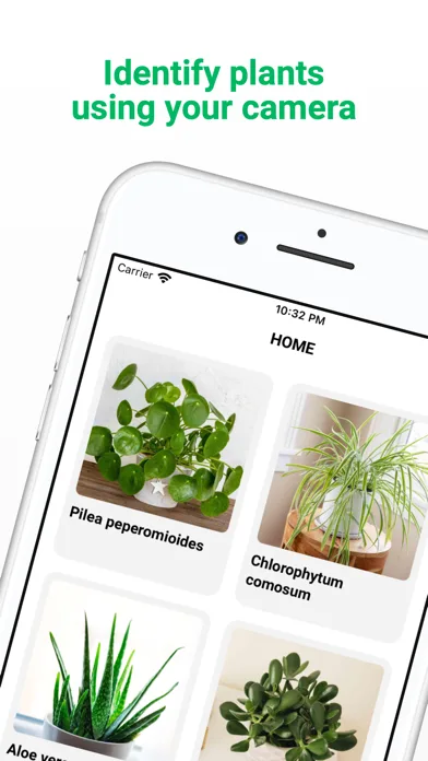 Plant ID - Identify Plants screenshot 1