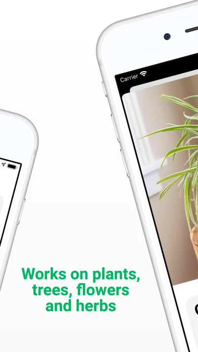Plant ID - Identify Plants screenshot 2