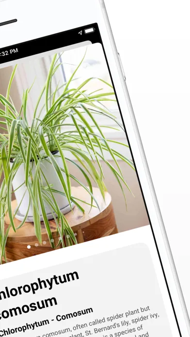 Plant ID - Identify Plants screenshot 3