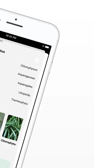 Plant ID - Identify Plants screenshot 5