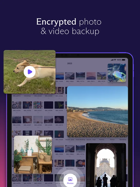 Proton Drive: Cloud Storage screenshot 1