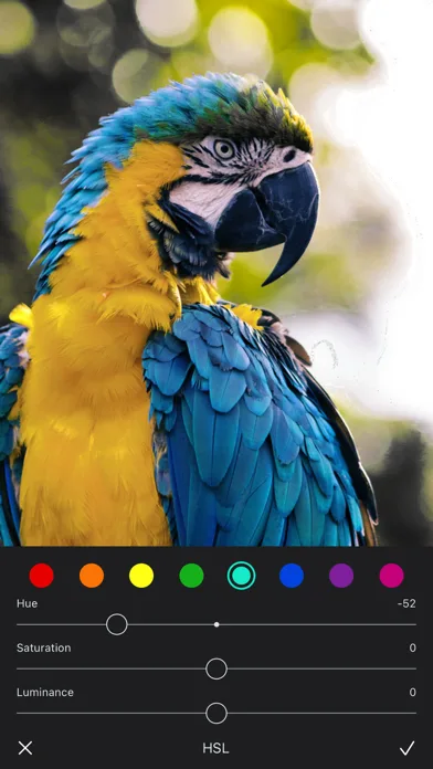 Photo Filters + screenshot 4