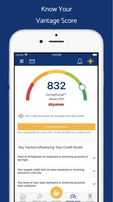 Mariner Finance screenshot 2