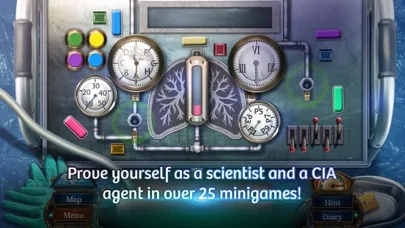 Family Mysteries 3 screenshot 2