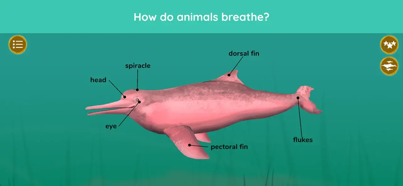 The Animals - Games For Kids screenshot 3